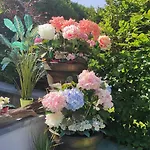 Rum i privatbostad La Maison Blanche A Hermeton Sur Meuse *