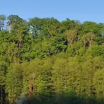 La Maison Blanche A Hermeton Sur Meuse Rum i privatbostad