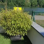 La Maison Blanche A Hermeton Sur Meuse *