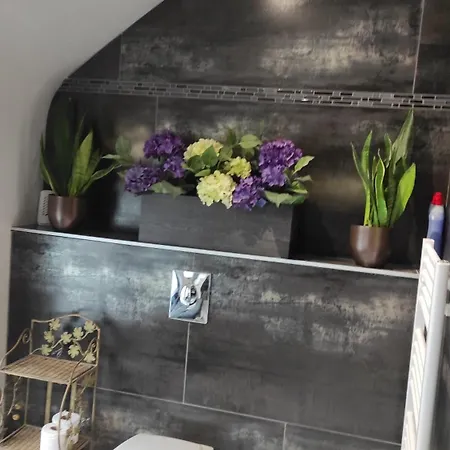 Homestay szállás La Maison Blanche A Hermeton Sur Meuse