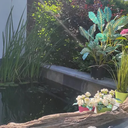 וילה La Maison Blanche A Hermeton Sur Meuse Hastiere-par-dela