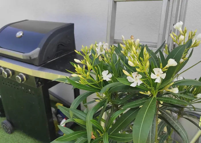 La Maison Blanche A Hermeton Sur Meuse * Hastière-par-delà