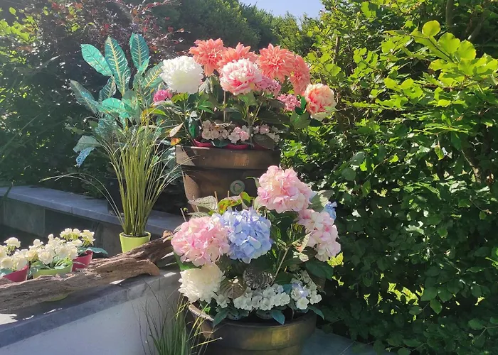 Homestay szállás La Maison Blanche A Hermeton Sur Meuse *