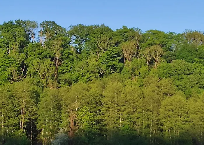 La Maison Blanche A Hermeton Sur Meuse Homestay szállás