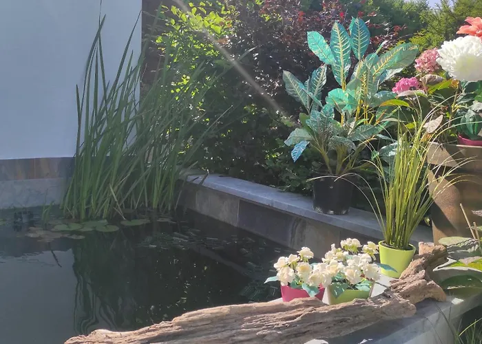 Homestay szállás La Maison Blanche A Hermeton Sur Meuse Hastière-par-delà