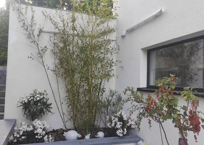 Homestay szállás La Maison Blanche A Hermeton Sur Meuse *